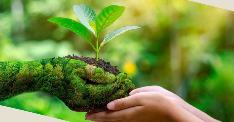 Unleashing Sustainable Potential Through Circular Economy Assessment and Implementation