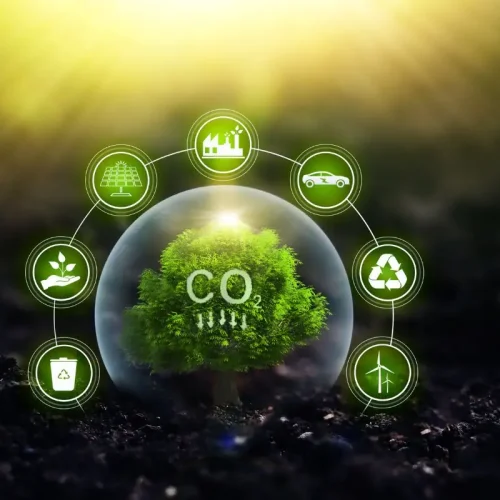 Carbon-Emissions-Intensity-Reduction