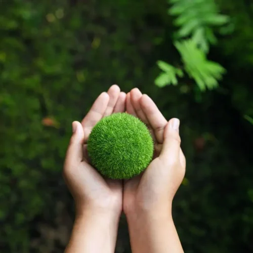 Decarbonisation-The-Pathway-to-a-Net-Zero-Future