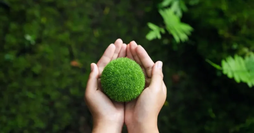 Decarbonisation-The-Pathway-to-a-Net-Zero-Future