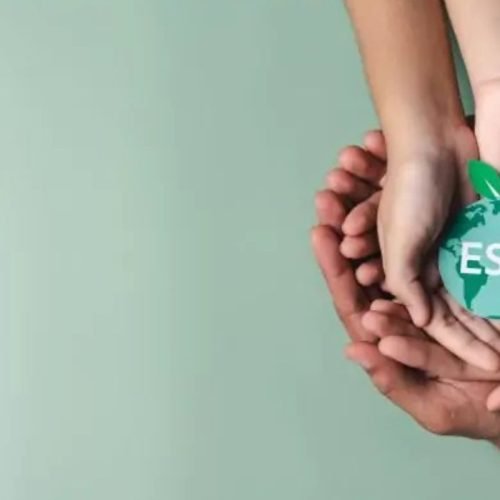 How Indian SMEs Can Prepare for EcoVadis