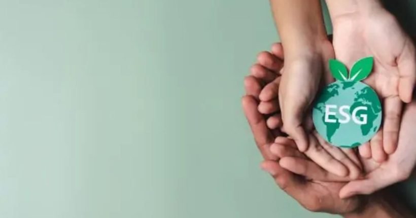 How Indian SMEs Can Prepare for EcoVadis