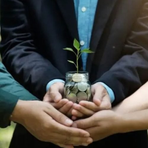 India’s Carbon Credit Trading Scheme Powering a Market-Driven Transition to Net-Zero