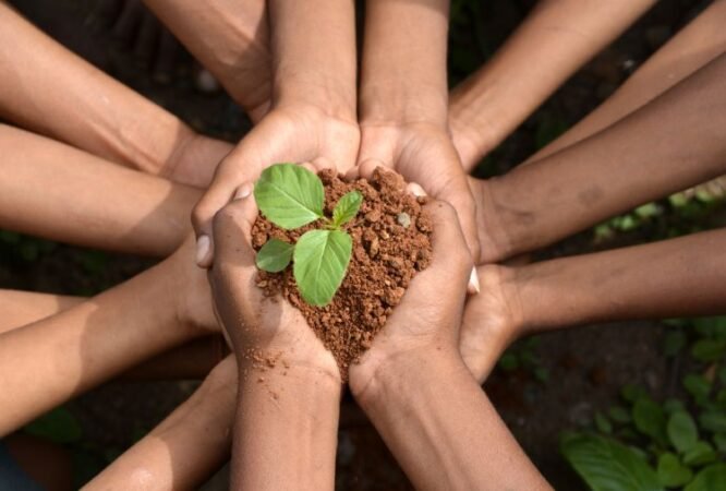 Carbon Credits & Carbon Markets