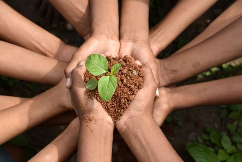 Carbon Credits & Carbon Markets